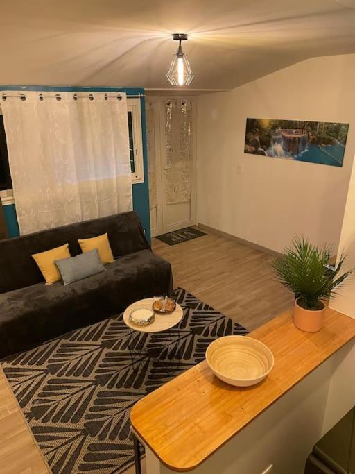 Appartement Les Cles Du Bonheur, Entre Mer & Montagne à Trois Bassins Extérieur photo